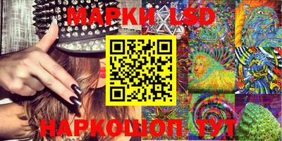 амф Сланцы