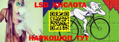 амф Сланцы