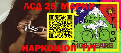 амф Сланцы