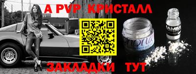 амф Сланцы