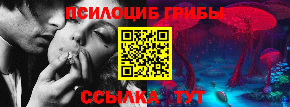 Ногинск  Галлюциногенные грибы GOLDEN TEACHER  Вход с VPN  Псилоцибиновые грибы мухоморы 